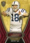 2010 Topps Supreme Football Cards