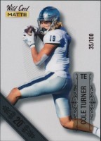 2022 Cole Turner Wild Card Matte - 20 Stripe (#'d to 100) (#:22) (Stock: 1) - $3.00